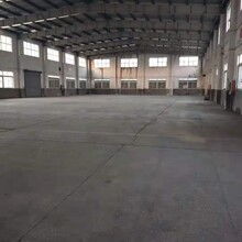 免仓储费，仓租运费五折！多温区仓储服务满足您的需求