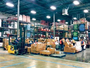 大温地区食品浪费与饥荒困境 呼吁捐赠多余食品